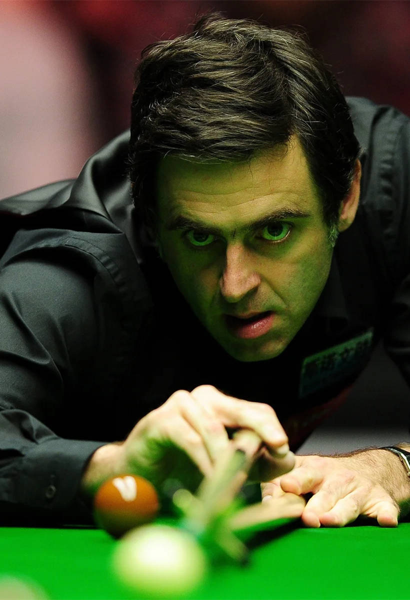 刘志强指导 刘志强指导