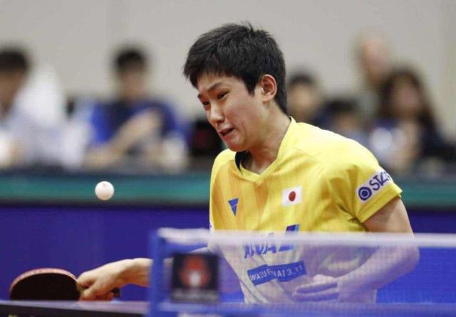 肩成长之旅 肩成长之旅